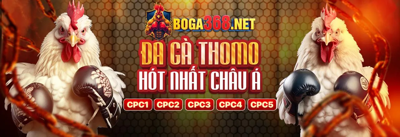 Tối ưu hóa trải nghiệm cá cược F8bet80