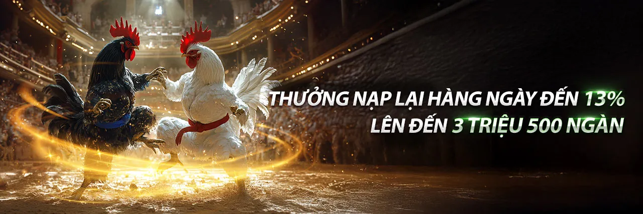 Sân đấu đá gà trực tuyến tại F8BET80